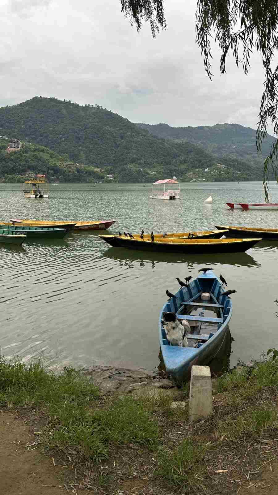 202609270810 Pokhara Lakeside And A Boat